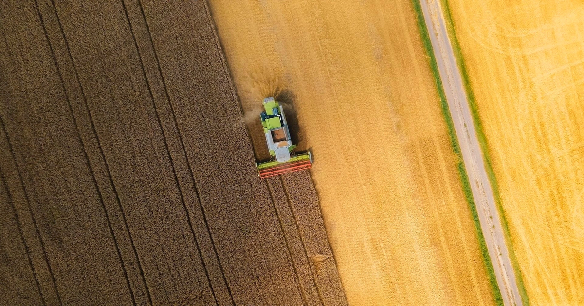 Cosechadora trabajando en un campo de cebada