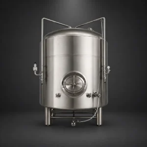 Tanques de cerveza brillante (BBT)
