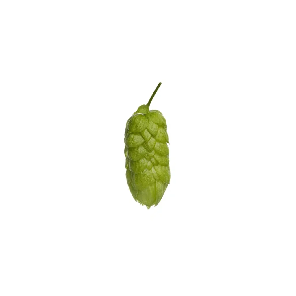 Lúpulo Green Bullet
