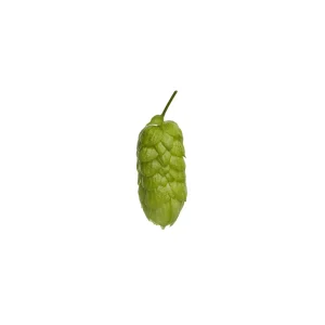GREEN BULLET