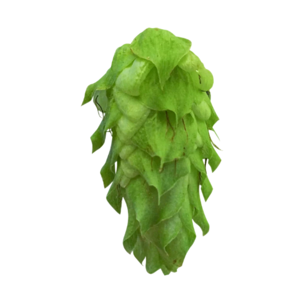 Lúpulo CITRA®