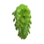 Lúpulo CITRA®