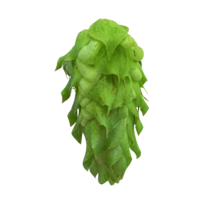 CITRA®