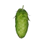 Lúpulo ORGANIC HERKULES (T90)