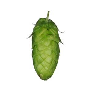 ORGANIC HERKULES (T90)