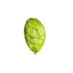 Lúpulo azacca