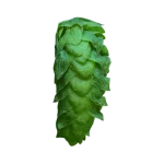 Lúpulo cascade