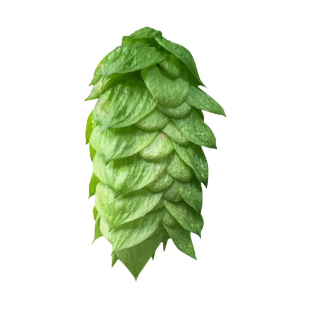 Lúpulo comet