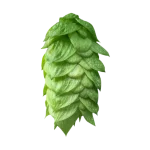 Lúpulo comet