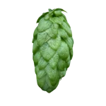 Lúpulo fuggles