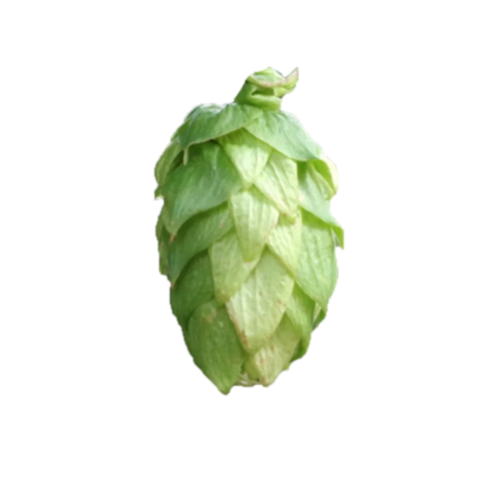 Lúpulo galena