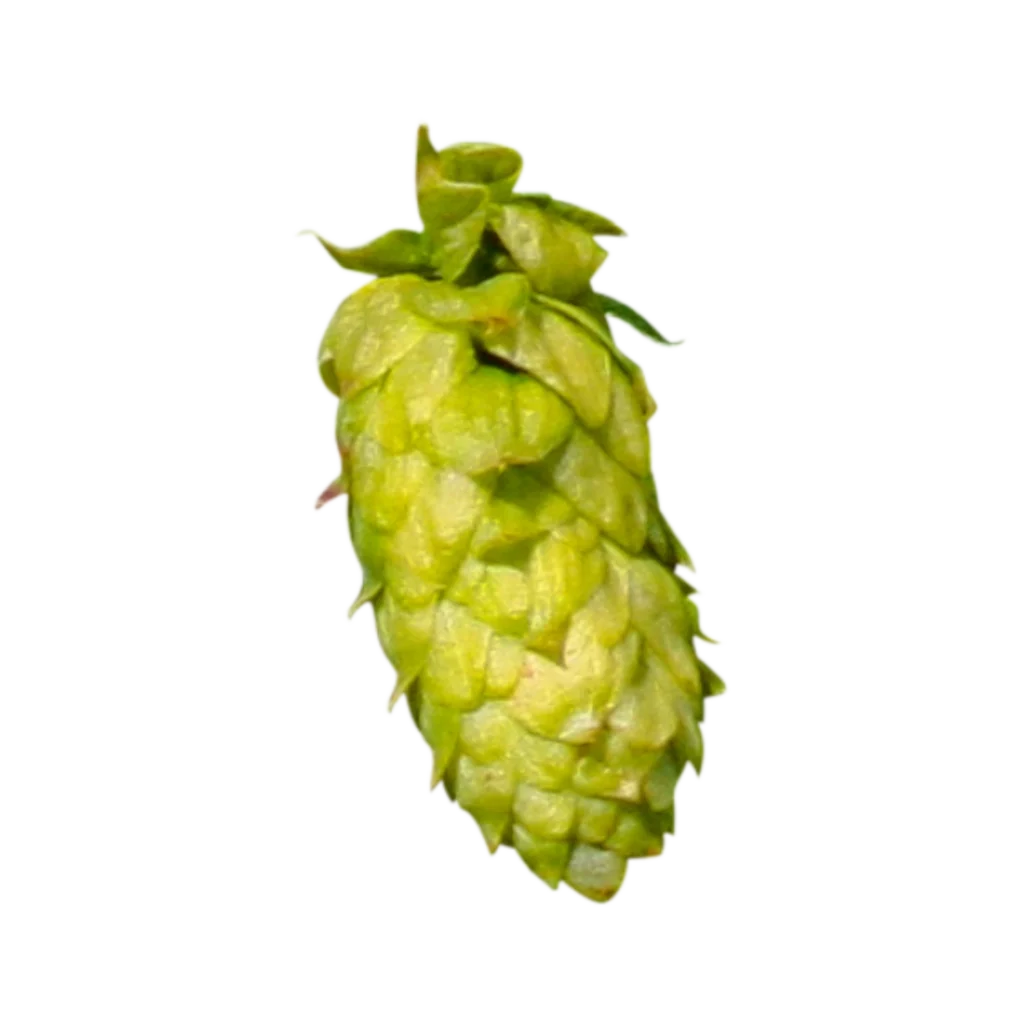 Lúpulo godiva