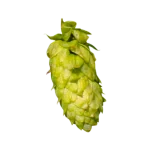 Lúpulo godiva