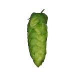Lúpulo hallertau-blanc