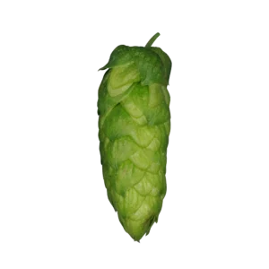 HALLERTAU BLANC