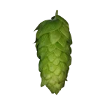 Lúpulo hersbrucker