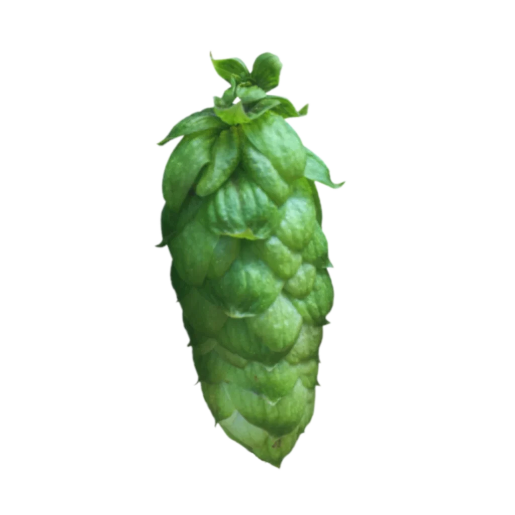 Lúpulo jester