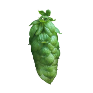 JESTER®