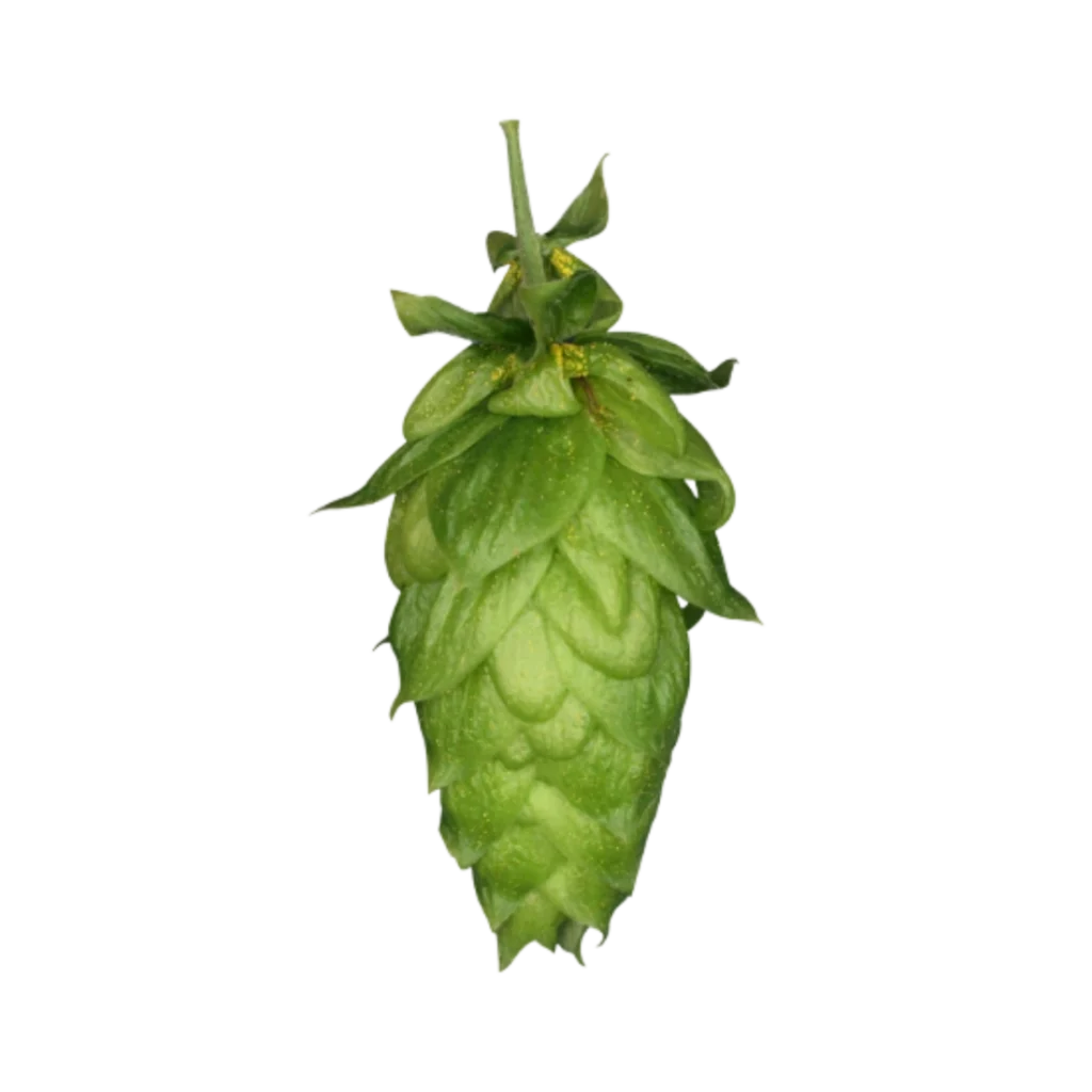 Lúpulo magnum