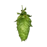 Lúpulo magnum