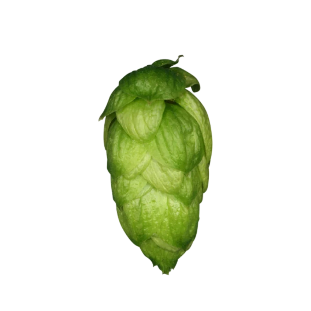 Lúpulo mandarina-bavaria