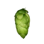 Lúpulo mandarina-bavaria