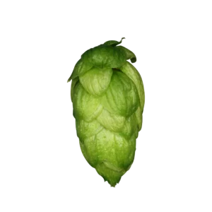 MANDARINA BAVARIA