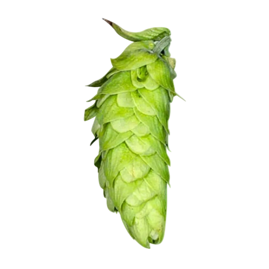 Lúpulo melon