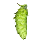 Lúpulo melon