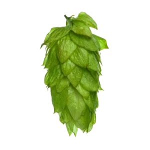 MOTUEKA™