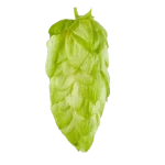 Lúpulo nectaron