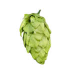 Lúpulo opus