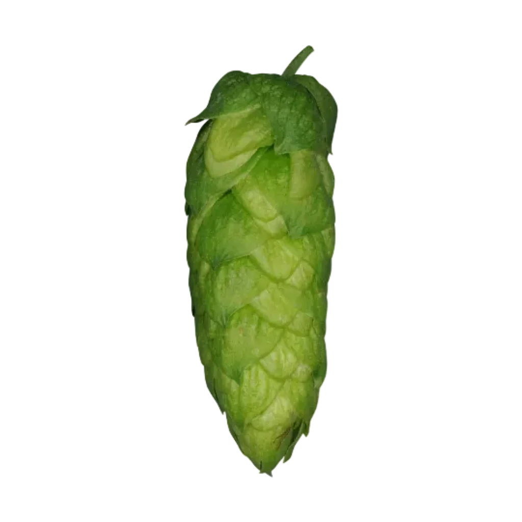 Lúpulo organic-blanc-t90