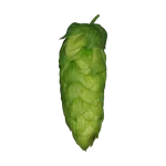 Lúpulo organic-blanc-t90