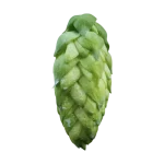 Lúpulo organic-magnat-t90