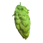 Lúpulo organic-marynka-t90