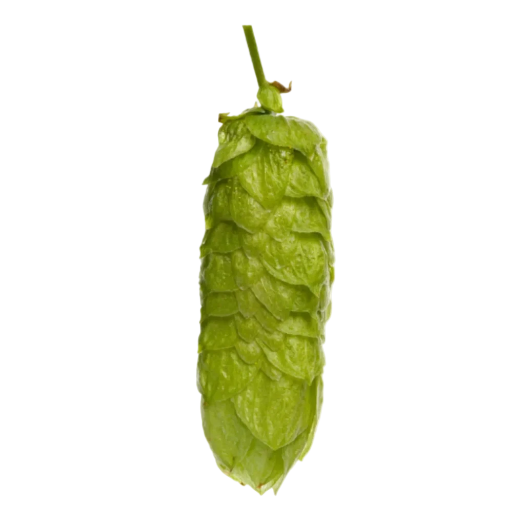 Lúpulo organic-pacific-gem-t90