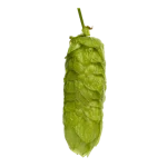 Lúpulo organic-pacific-gem-t90