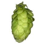 Lúpulo organic-perle-t90