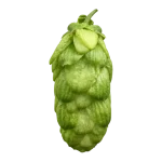 Lúpulo organic-pulawski-t90