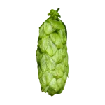 Lúpulo organic-sovereign-t90