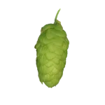 Lúpulo organic-tradition-t90