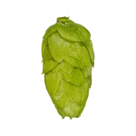 Lúpulo rakau