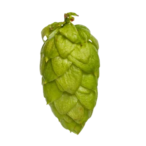 RIWAKA™