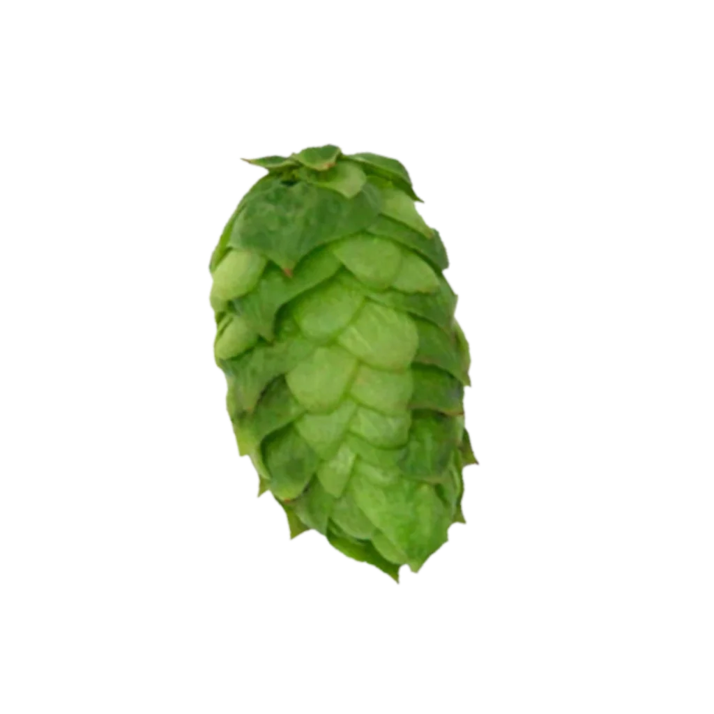 Lúpulo simcoe