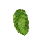 Lúpulo simcoe