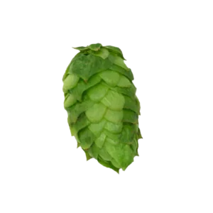 SIMCOE®