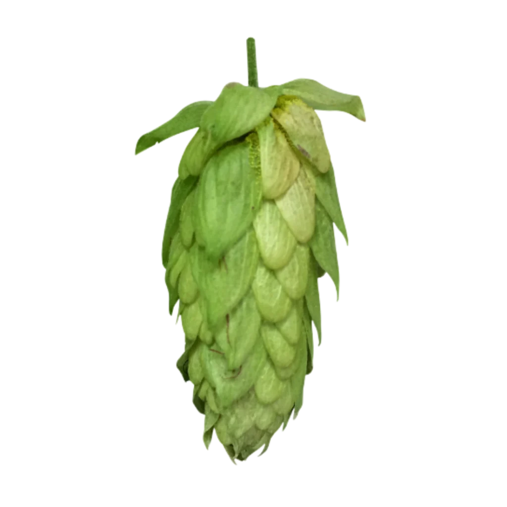 Lúpulo sorachi-ace
