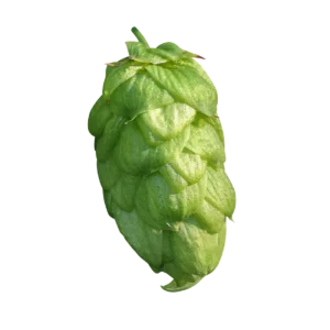 STYRIAN BOBEK