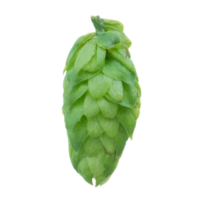 STYRIAN DRAGON